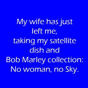 My-wife-has-just-left-me-taking-my-satellite